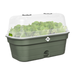 green basics anzucht schale allin1 m laubgrün